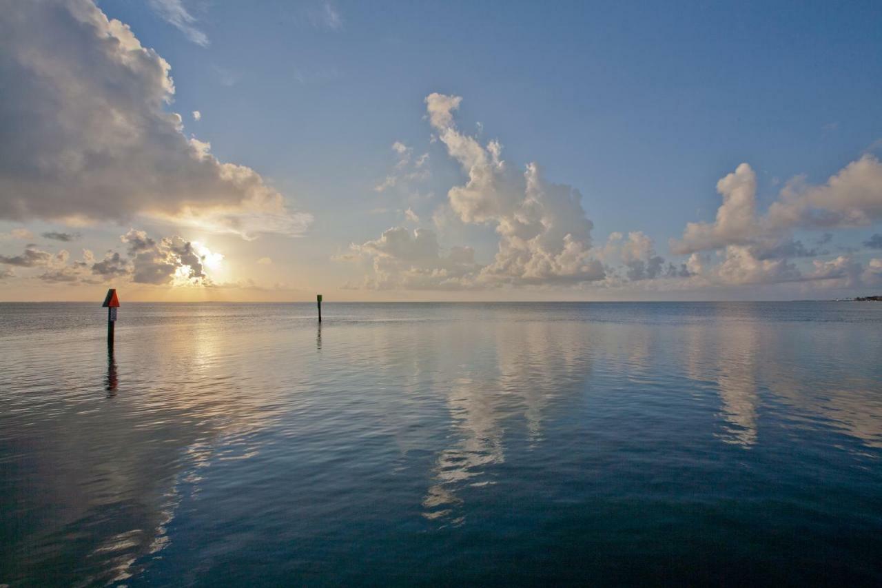 Campeche Cove #1 Hotell South Padre Island Eksteriør bilde